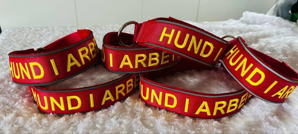 Röda Hund i arbete-halsband