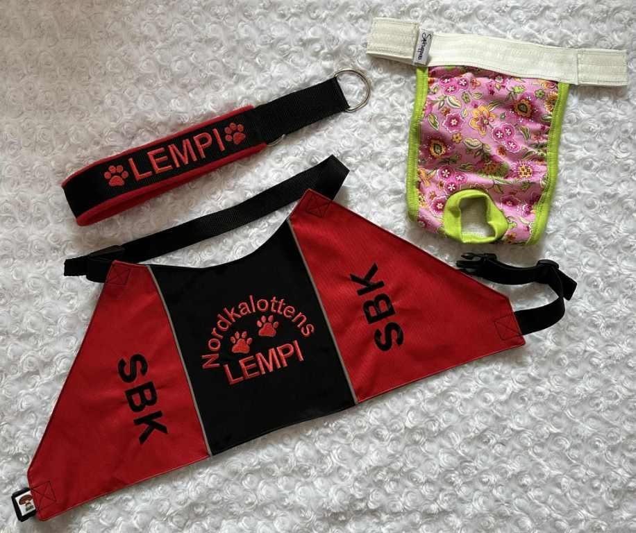 Broderade Hund i arbete-set