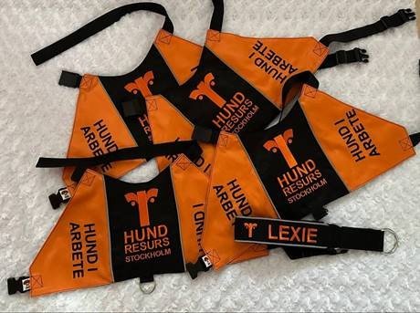 Hund i arbete-set till Lexie