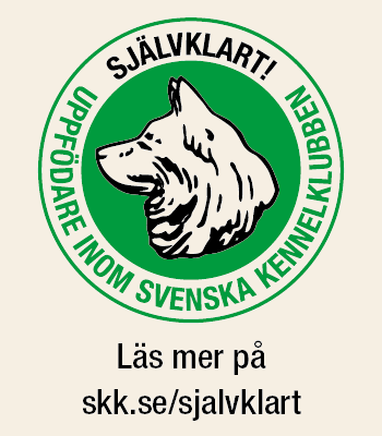 Svenska Kennelklubben