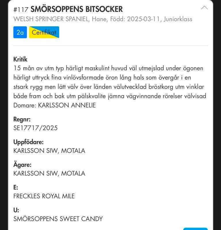 Ozzys kritik från Sunne